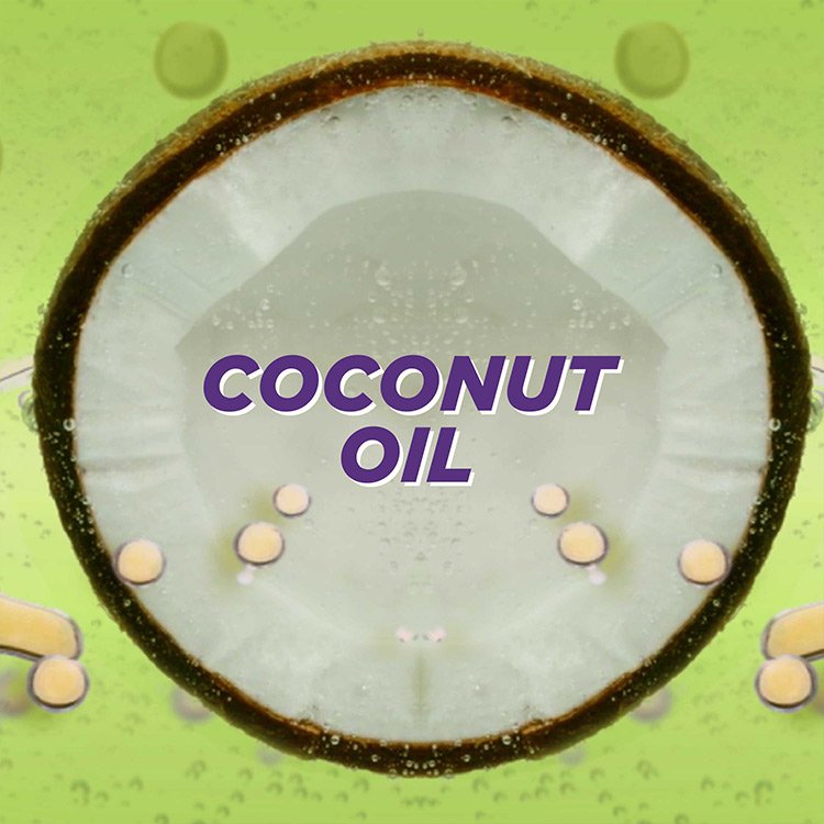 Garnier fructis curl